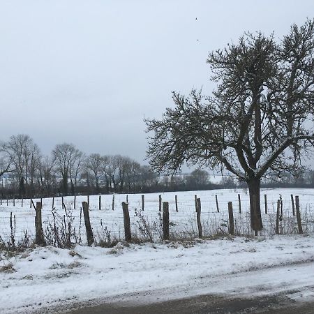 La Maisonnette Dintevilloise Dinteville Zewnętrze zdjęcie